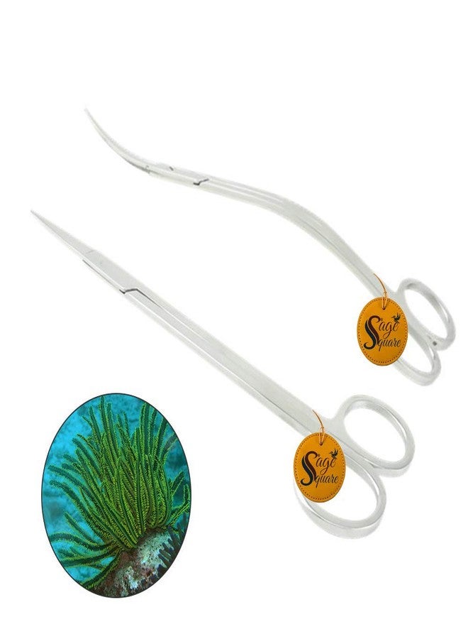 Sage Square Jumbo Size Professional Aquarium Tongs Scissor Long Stainless Steel Scissor Tool for Fish Tank, Aquatic Plant Cleaning (Wave & Straight) - Image 1